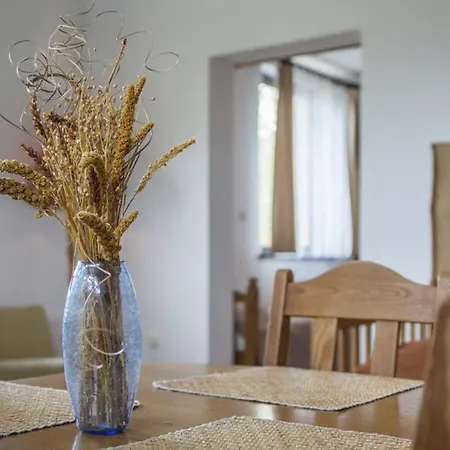 ホームステイ Arka Przystan