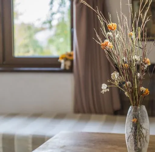 Arka Przystan Ubytování v soukromí